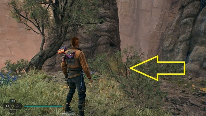 Not far from the databank is another Seedbag - Jedi Survivor: Devastated Settlement - list of secrets (Part 1) - Koboh - Star Wars Jedi Survivor guide