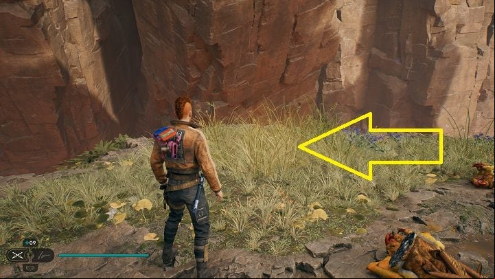 Near the chest is another seedbag - Jedi Survivor: Devastated Settlement - list of secrets (Part 1) - Koboh - Star Wars Jedi Survivor guide