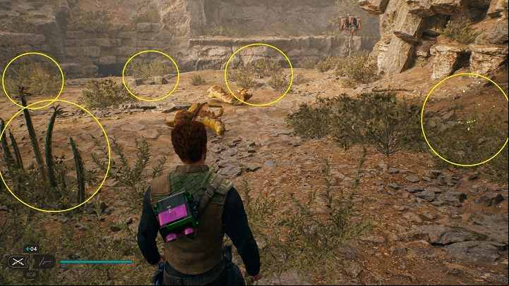 There you'll find 5 plants that can be cut down to find seeds - Jedi Survivor: Winding Ravine - list of secrets - Koboh - Star Wars Jedi Survivor guide