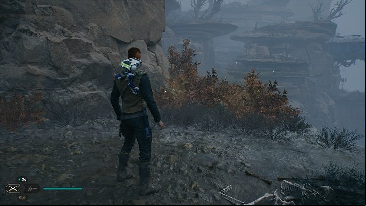 Next to the previous secret are three bushes, from which you will get seeds - Jedi Survivor: Fogged Expanse - list of secrets - Koboh - Star Wars Jedi Survivor guide