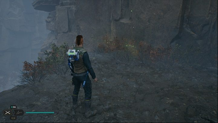 Near the fragment described above are two bushes with seeds - Jedi Survivor: Fogged Expanse - list of secrets - Koboh - Star Wars Jedi Survivor guide