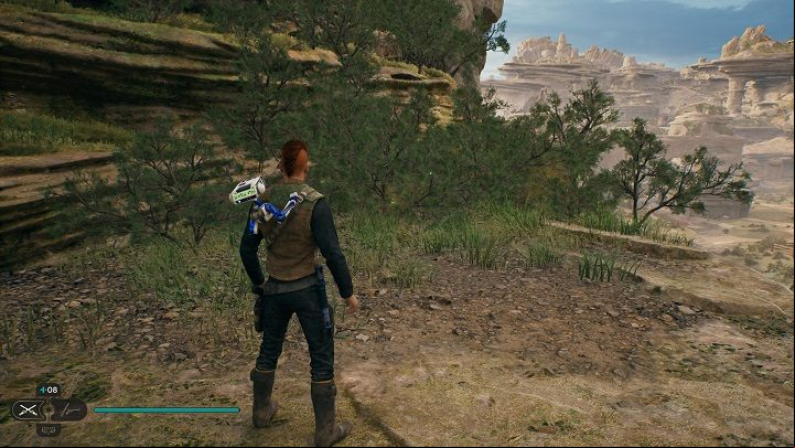 There are 4 plants of the sought type on the left from the chest - Jedi Survivor: Swindlers Wash - list of secrets - Koboh - Star Wars Jedi Survivor guide