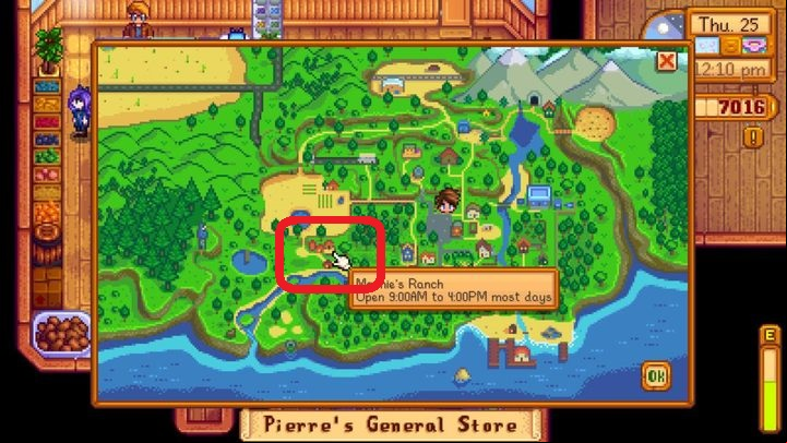 This quest starts after the cutscene - Puzzles, secrets, collectibles and missions | Quick start - Quick start - Stardew Valley Game Guide