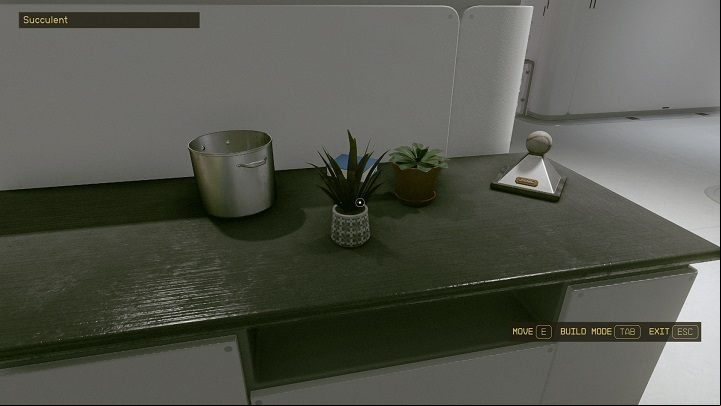 You can also decorate your house with items collected while exploring cities or outposts, such as potted flowers or figurines - Starfield: How to decorate houses? - Equipment - Starfield Guide