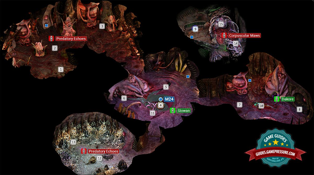 Torment: Tides of Numenera M23 - Bloom: The Gullet / Chamber of Bones Torment: Tides of Numenera M23 - Bloom: The Gullet / Chamber of Bones