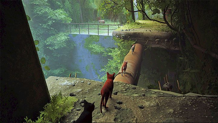 When you start a new game, you'll be in the company of other homeless cats - Stray: Other cats - are they in the game? - FAQ - Stray Guide, Walkthrough