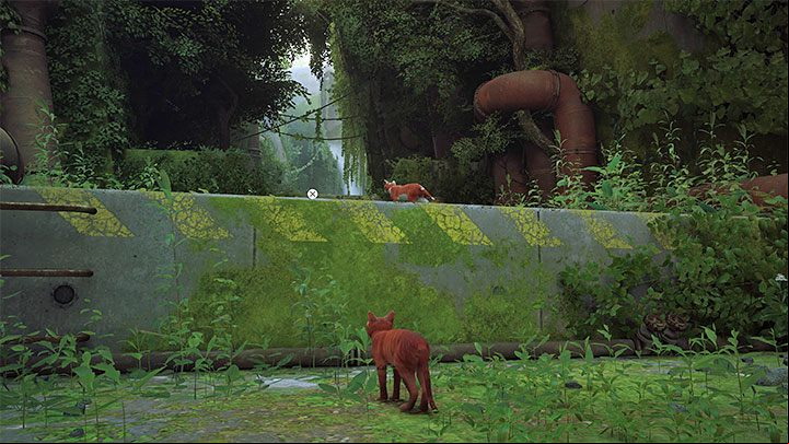 You start the game traveling with a few other cats - Stray: Inside the Wall, Chapter 1 - walkthrough - Walkthrough - Stray Guide, Walkthrough