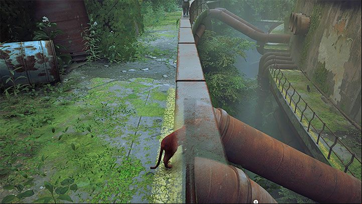 The path branch at some point - you can travel left (higher) or right (lower) - Stray: Inside the Wall, Chapter 1 - walkthrough - Walkthrough - Stray Guide, Walkthrough
