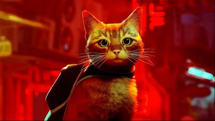 1 - Stray: Games length - main story, collectibles, platinum trophy - Appendix - Stray Guide, Walkthrough