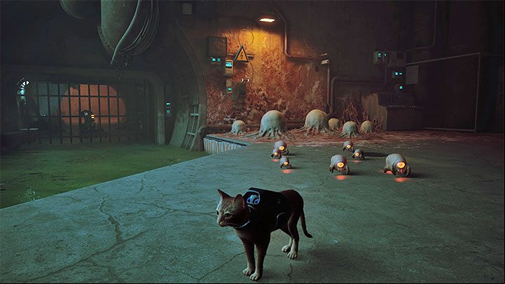You have use the path upstairs to reach the other side of the water - Stray: The Sewers, Chapter 8 - walkthrough - Walkthrough - Stray Guide, Walkthrough