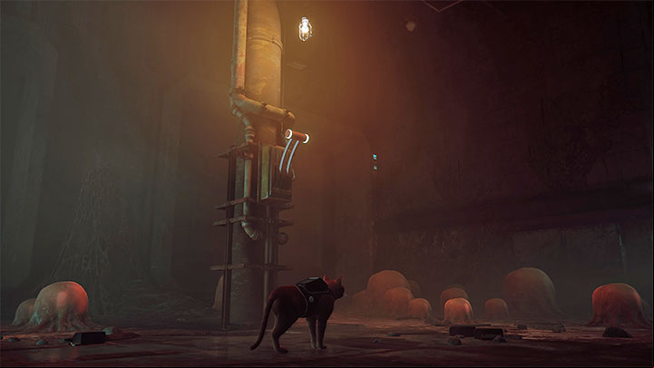 The route is linear - Stray: The Sewers, Chapter 8 - walkthrough - Walkthrough - Stray Guide, Walkthrough
