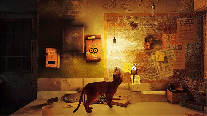 To get the key, you need to climb the table and get it off the wall - Stray: Jail, Chapter 11 - walkthrough - Walkthrough - Stray Guide, Walkthrough