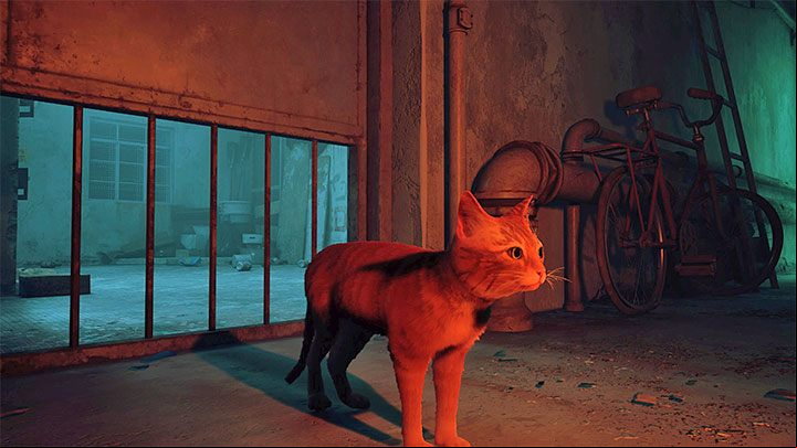 The look of the animal controlled in Stray is presented in the picture above - Stray: Changing the cats appearance - is it possible? - FAQ - Stray Guide, Walkthrough