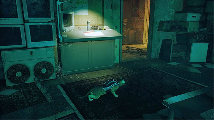 The only change to the pet's appearance is to wear a cat's backpack after meeting the B-12 for the first time in Chapter 3 - Stray: Changing the cats appearance - is it possible? - FAQ - Stray Guide, Walkthrough
