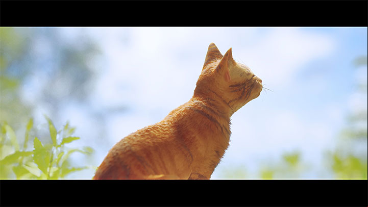 The cat safely exits Walled City 99 and reaches the outside world - Stray: The games ending - walkthrough of the ending - Walkthrough - Stray Guide, Walkthrough