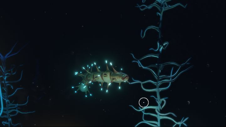 Blood Kelp Caves are a biome in which you should establish a base - Subnautica: Blood Kelp Caves - biome guide - Biomes - Subnautica Game Guide