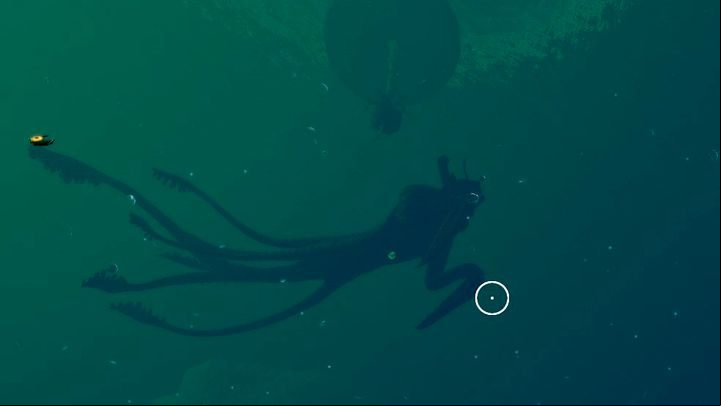 The whole biome in a nutshell - a Lilypad plant and a Sea Emperor Leviathan. - Subnautica Below Zero: Lilypad Islands - biome guide - Biomes - Subnautica Game Guide