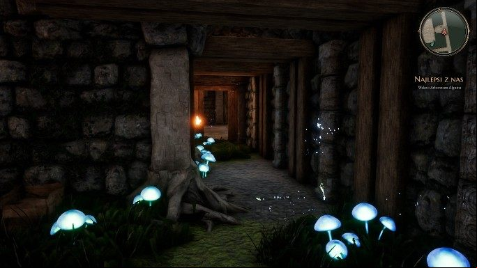 You must push four stones onto the pedestals - Hidden Hand and The Best of Us | The Bards Tale 4 Main Quest Walkthrough - Main Quests - The Bards Tale 4 Game Guide