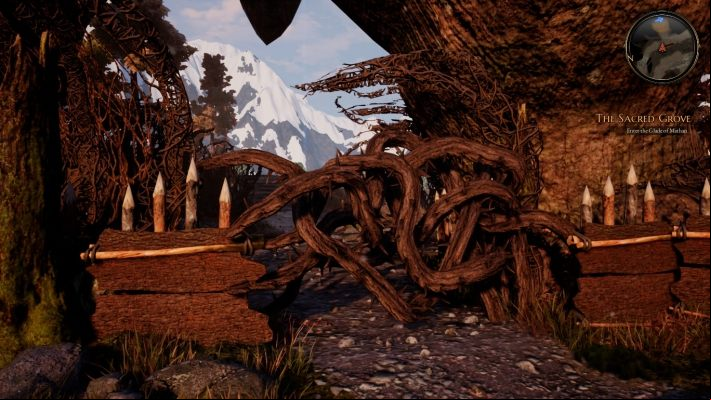 Speak with priestess Alise - The Sacred Grove | The Bards Tale 4 Main Quest Walkthrough - Main Quests - The Bards Tale 4 Game Guide