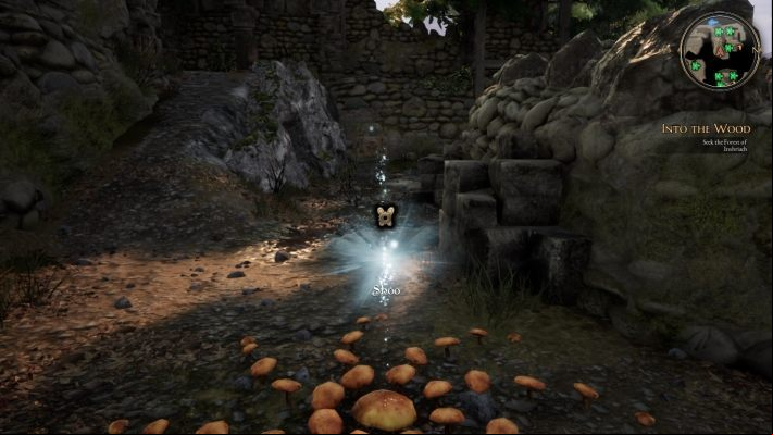 Set the token in front like this - Into the Wood... | The Bards Tale 4 Main Quest Walkthrough - Main Quests - The Bards Tale 4 Game Guide
