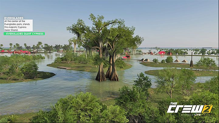 Description: At the center of the Everglades park, stands this majestic Cypress (near Miami) - Album - Off-Roadin in The Crew 2 - Photo Ops - The Crew 2 Game Guide