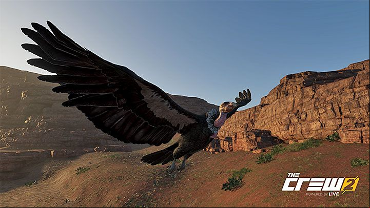 Description: Capture the splendor of the Condor - Album - Off-Roadin in The Crew 2 - Photo Ops - The Crew 2 Game Guide
