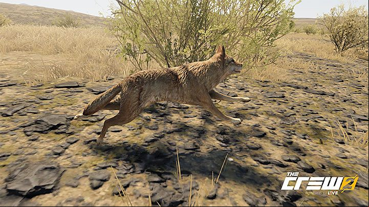 Description: As wild as it might get, this one wont ask for a tip - Album - Off-Roadin in The Crew 2 - Photo Ops - The Crew 2 Game Guide