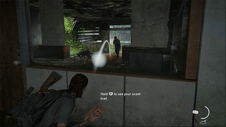 Starting from the second day of your stay in Seattle, youll come across hostile dogs accompanying some of your opponents - The Last of Us 2: Best starting tips - Basics - The Last of Us 2 Guide