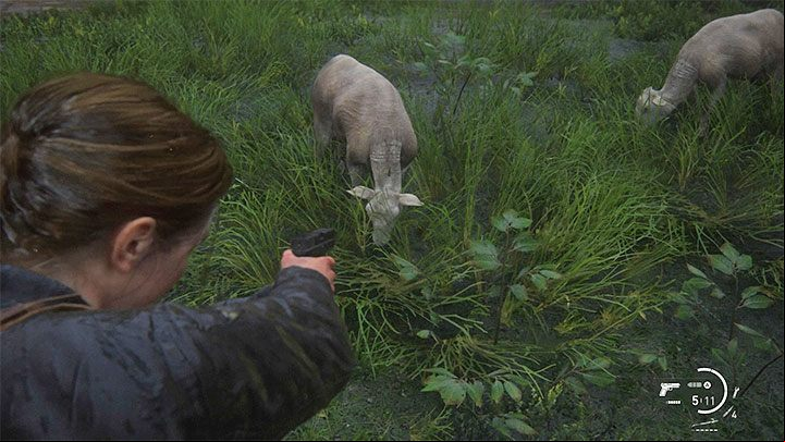 During The Island stage, Abby will visit an area in the village of cultists with some sheep - The Last of Us 2: Easter-eggs on Abbys stages - Easter-eggs and curiosities and - The Last of Us 2 Guide