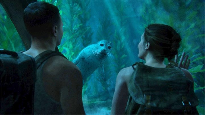 During The Aquarium stage, which is one of the flashbacks levels of Abby, the heroes will reach the reservoir where a living seal is swimming - The Last of Us 2: Easter-eggs on Abbys stages - Easter-eggs and curiosities and - The Last of Us 2 Guide