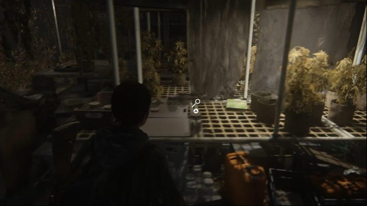 When you go downstairs, you will reach a basement with a variety of herbs - The Last of Us 2: The Overlook, Patrol, Jackson walkthrough - Jackson - The Last of Us 2 Guide