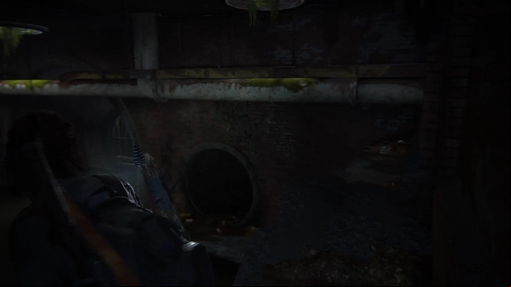 Swim a little bit and then pull up to the shelves located above to reach a platform hanging down from a pipe - The Last of Us 2: The Seraphites, Seattle Day 2 Ellie walkthrough - Seattle Day 2 - Ellie - The Last of Us 2 Guide