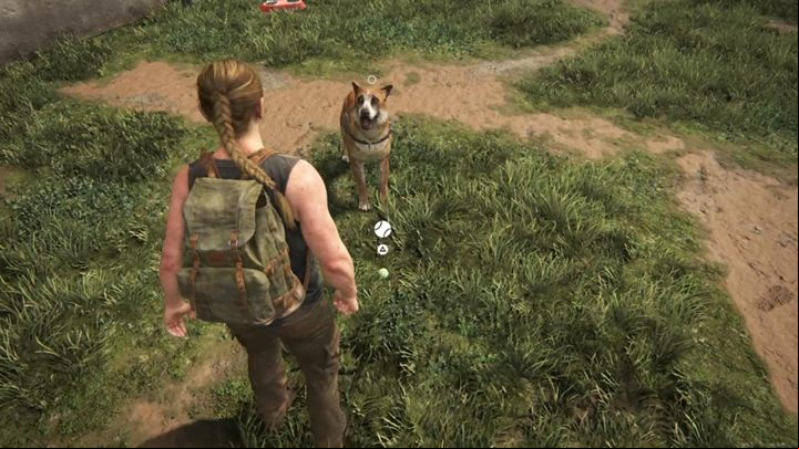 There are some interactive scenes here where you can, for example, play with a dog - The Last of Us 2: The Stadium, Seattle Day 1 Abby walkthrough - Seattle Day 1 - Abby - The Last of Us 2 Guide