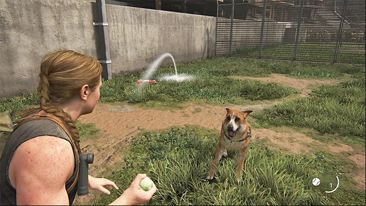 Abby has a lot more opportunities for peaceful with dogs, and thats because the WLF Organization, of which she is a part, breeds defensive dogs - The Last of Us 2: Dogs guide - Basics - The Last of Us 2 Guide