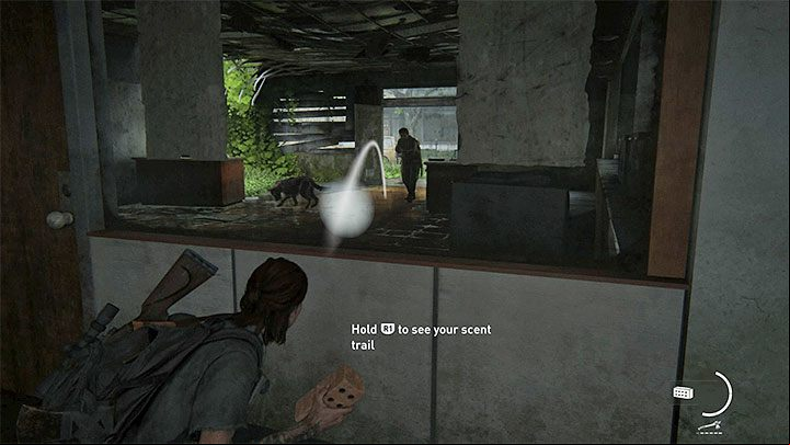 If you dont respond properly after the dog starts tracking Ellie, it could lead to her being detected - The Last of Us 2: Dogs guide - Basics - The Last of Us 2 Guide