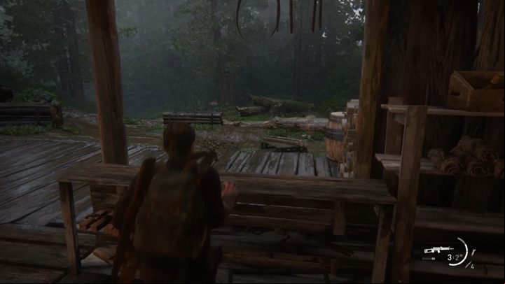 You have to run down the forest path - The Last of Us 2: The Island, Seattle Day 3 Abby walkthrough - Seattle Day 3 - Abby - The Last of Us 2 Guide
