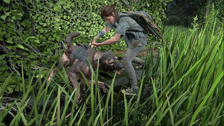 Defense dogs accompany some WLF soldiers and are only fought when playing as Ellie - The Last of Us 2: Guard dogs guide, how to kill? - Enemies - The Last of Us 2 Guide