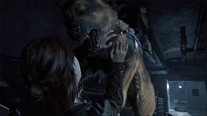 Proceed to a section where Ellie is attacked by a dog during Infiltration level - The Last of Us 2: Infiltration - collectibles, artefacts, coins - Seattle, Day 3 - Ellie - The Last of Us 2 Guide