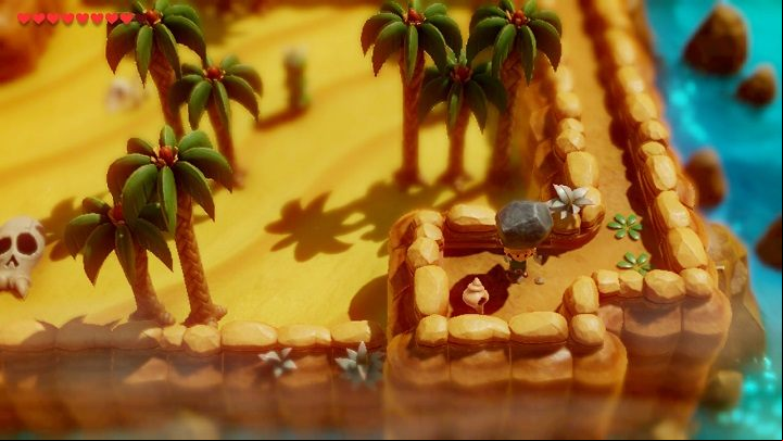Get a hint from the Owl Statue and go down near the cacti - Anglers Tunnel | Links Awakening Walkthrough - Walkthrough - Links Awakening Guide