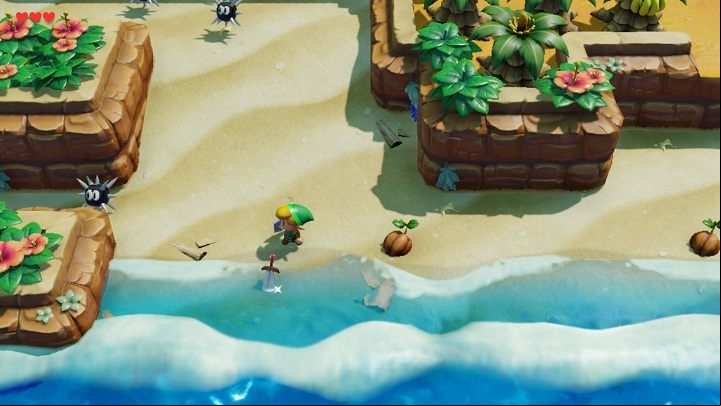 Keep going down until you reach the beach - Tail Cave | Links Awakening Walkthrough - Walkthrough - Links Awakening Guide