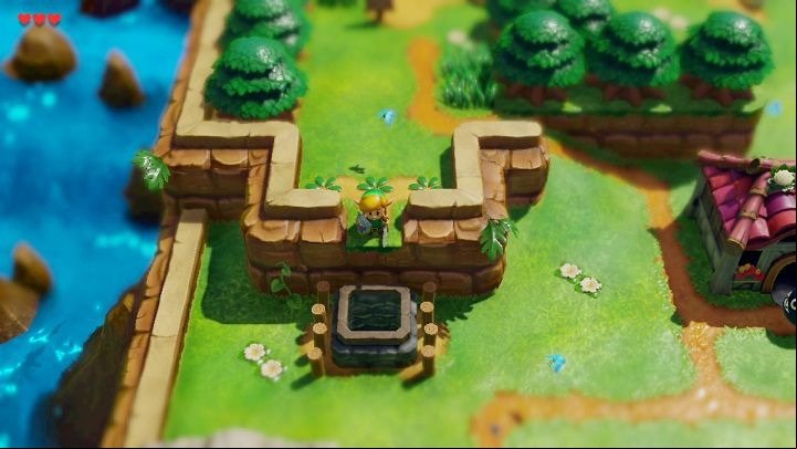 Go up on the hill above the well, use your sword to remove the grass and jump down into the well - Tail Cave | Links Awakening Walkthrough - Walkthrough - Links Awakening Guide