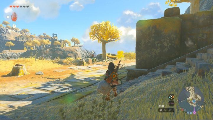 5 - Zelda Tears of the Kingdom: All Shrines on Great Sky Island - Sky - Zelda Tears of the Kingdom Guide