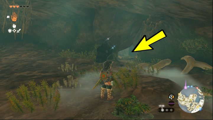 In the cave, keep going straight and turn left towards the exit - Zelda Tears of the Kingdom: All Shrines on Great Sky Island - Sky - Zelda Tears of the Kingdom Guide