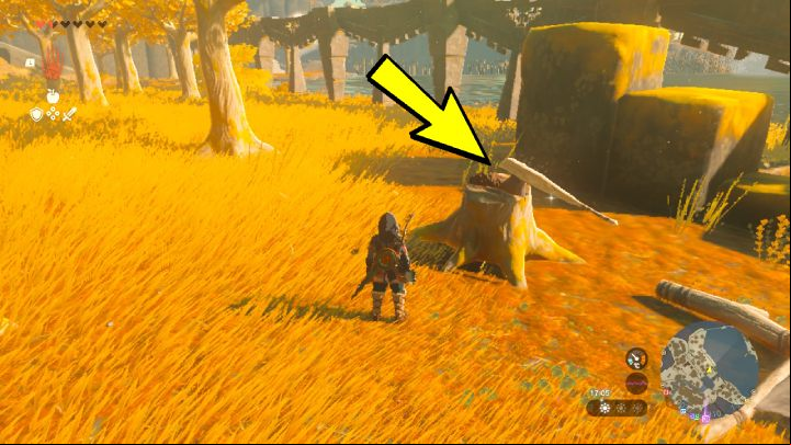 The lake is too big for Link to swim - Zelda Tears of the Kingdom: All Shrines on Great Sky Island - Sky - Zelda Tears of the Kingdom Guide