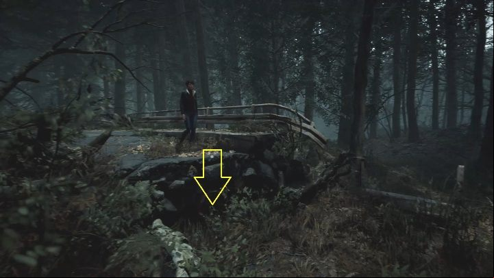The path leading through the forest is straight and linear - The Medium: Journey to the hotel - walkthrough - Walkthrough - The Medium Guide