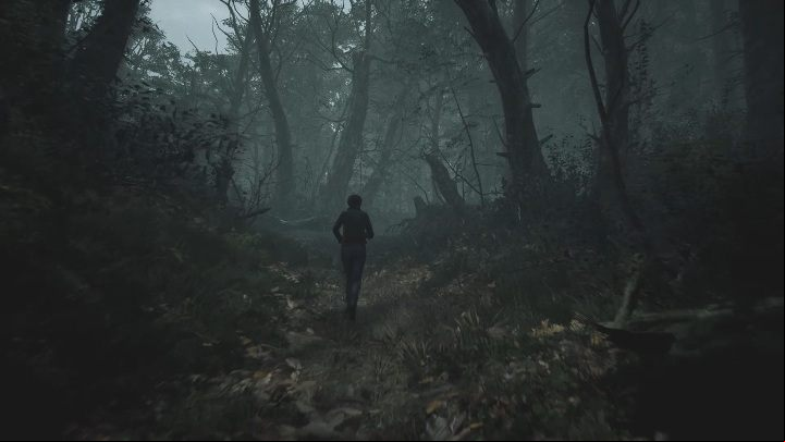 8 - The Medium: Journey to the hotel - walkthrough - Walkthrough - The Medium Guide