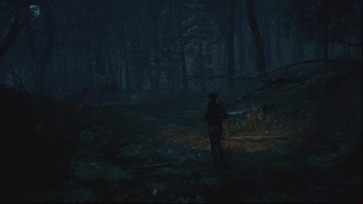 After leaving the ruins, you will reach the forest - The Medium: Workshop - walkthrough - Walkthrough - The Medium Guide