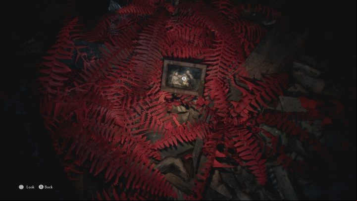 A family photo lies in the leaves, near the collapsed age to the next part of the apartment - The Medium: Thomas house - walkthrough - Walkthrough - The Medium Guide