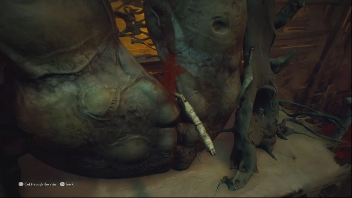 To get the Mask of Wonder, you must get four butterflies - The Medium: Thomas house - walkthrough - Walkthrough - The Medium Guide