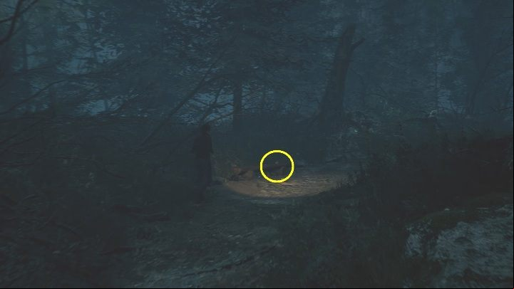 Location: This postcard is in the woods behind the Niwa Resort - The Medium: Postcards - list - Secrets and Collectibles - The Medium Guide